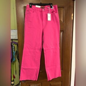 Judy Blue size 15- NWT Bright Pink Women's Jeans